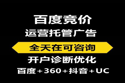 行业领先SEM托管代运营案例